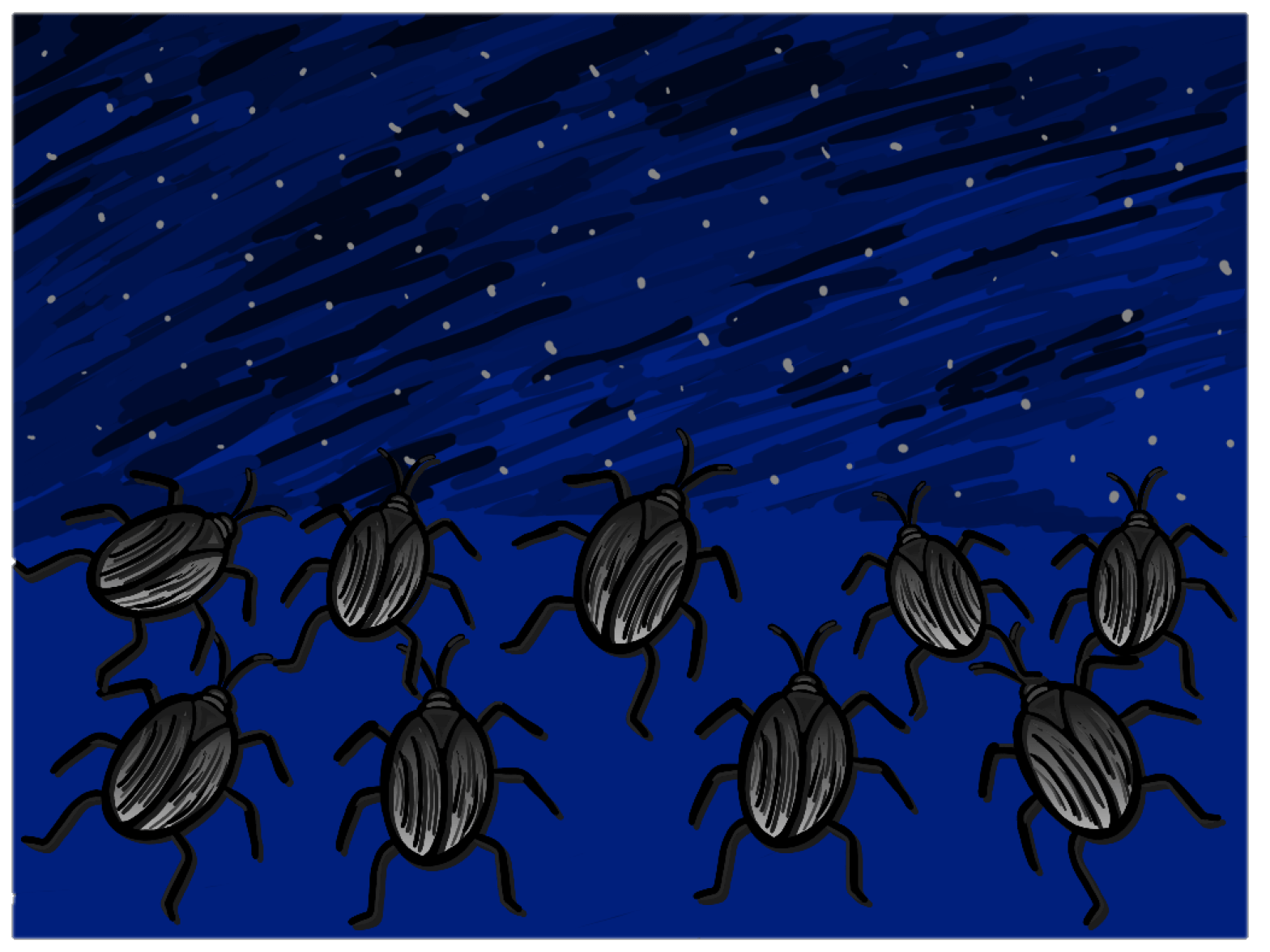 cartoon drawing of cockroaches at night